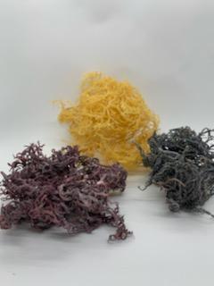 St. Lucian Raw Sea Moss